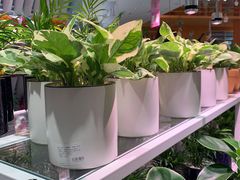 -深圳龙华星河COCO City(民治店)