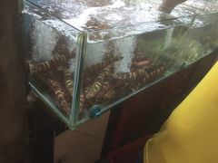 大堂-班赞海鲜市场
