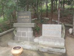 -大鹿岛