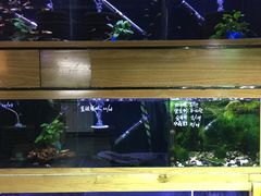 -三圣花乡旅游区