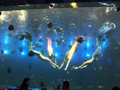 -瑞德姆美人鱼海底演艺主题餐厅(亚龙湾店)