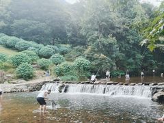 -广州市石门国家森林公园