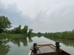 -西溪国家湿地公园