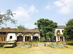 -田园东方蜜桃村的田野营地