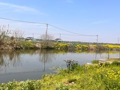 -沙家浜风景区