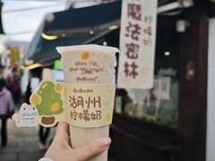 -猫的魔法密林(衣裳街店)
