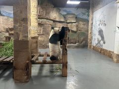 -无锡动物园·太湖欢乐园