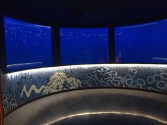 -沈阳海洋探索中心