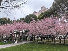 -静安雕塑公园