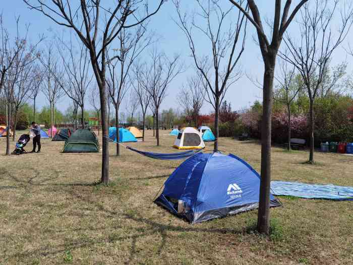 麦草人有机农业公园·少儿素质教育营地-"麦草人位于白鹿原,离白鹿仓
