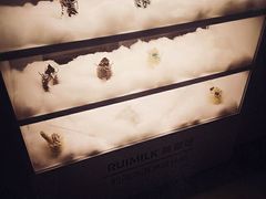 -巴黎贝甜(常德路店)