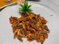 -老绍兴养和饭店(向阳不夜城店)
