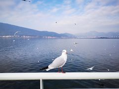 -海埂大坝