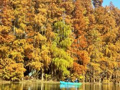 -上海海湾国家森林公园