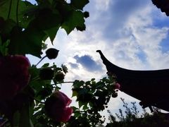 -苏州吴中太湖旅游区