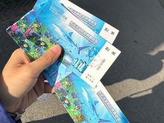 -太平洋海底世界