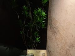 -villaa·别墅·融合菜西餐厅