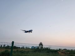 -空港花田景区