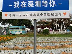 -光明农场大观园