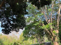 -中国科学院西双版纳热带植物园