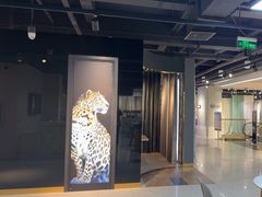 -剪刀石头布家居广场