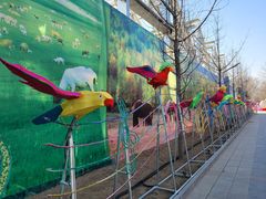 -南宫五洲植物乐园