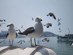 -长岛南北长山旅游景区