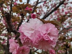 -济南国际园博园