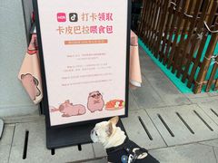 -苏州阳澄半岛英迪格酒店