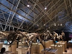 -世界恐龙谷景区