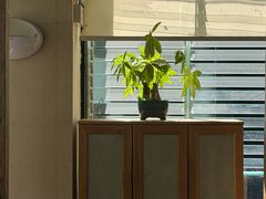 -相约小筑缅泰文化餐厅(临沧·强力广场店)