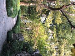 -申粤轩酒楼·三十年粤菜经典(丁香花园店)