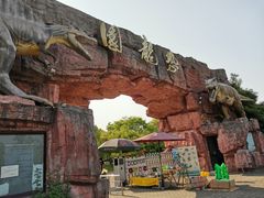 -上海海湾国家森林公园