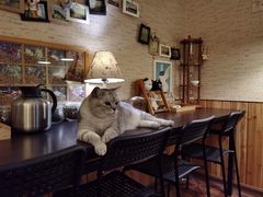 -隅cafe(傅厚岗店)