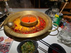 -新哥老官·畅吃123·美蛙世界(苏宁广场店)