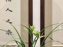 -达活泉公园