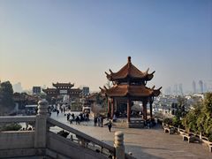 -黄鹤楼公园(黄鹤楼)