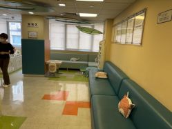 -杭州贝瑞斯美华妇儿医院·早孕·产检·儿科