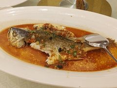 -顺峰(南二环店)