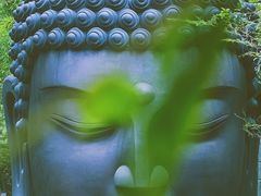 -杭州植物园