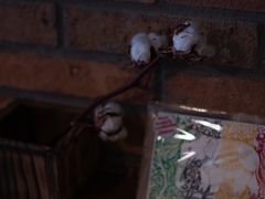 -春庄咖啡SpringHues(钟楼小区店)