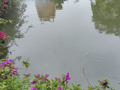 -观澜山水田园