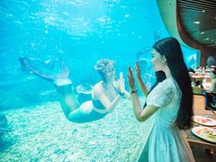 -海棠湾洲际-涛·海底餐厅·美人鱼·自助餐·海底隧道