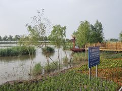 -卧龙湖