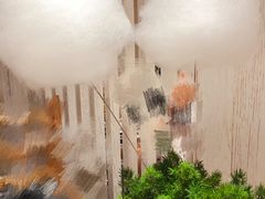 蒲公英糖葫芦-小大董·烤鸭(凤凰汇店)