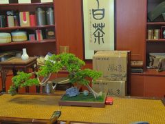 -正源安吉白茶特产享购商场(安吉店)