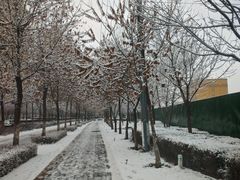 -伊犁河景区