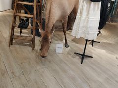 -银泰百货(西湖店)