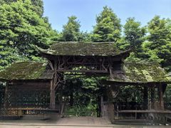 -香蟹煲·醉蟹牛蛙耙鸡爪