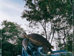 -广东惠东海龟国家级自然保护区